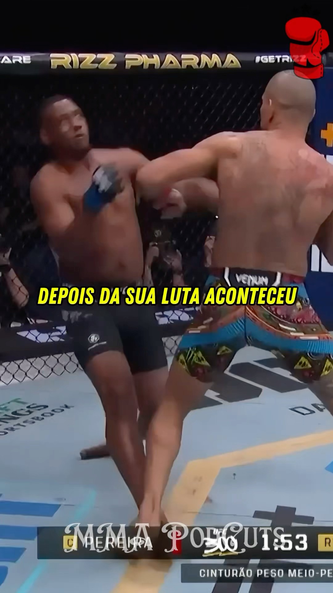 ALEX PEREIRA ELOGIA JAMAHAL HILL #mma #luta #boxe #ufc #shortsfeed #brasil #foryou