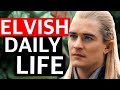 Learn elvish daily routine in 8 minutes  sindarin phrases