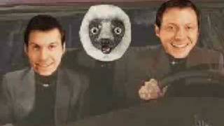 What Is Zoboomafoo?