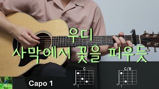 Video thumbnail of "우디 (Woody) - 사막에서 꽃을 피우듯 기타 코드, 커버, 타브 악보 l Guitar cover, Acoustic, Chord, Tutorial"