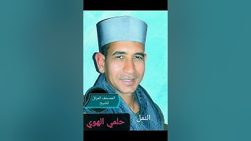 الشيخ حلمي الهوي سورة النمل