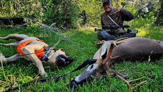 Opening Day success in Florida! Archery Deer Hunt {Catch Clean Cook} sous vide Venison is AMAZING