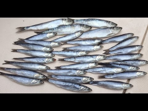 Video: How To Quickly Salt Herring In Brine