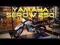 Yamaha Serow 250 2019 Walkaround