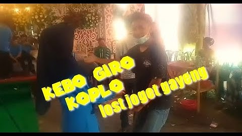 KEBO GIRO KOPLO GAYENG
