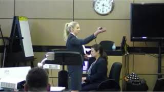 Atlanta Personal Injury Attorney Bethany Schneider Closing Argument