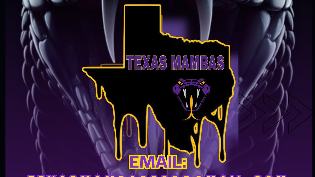 Mambas 2025 recap! 