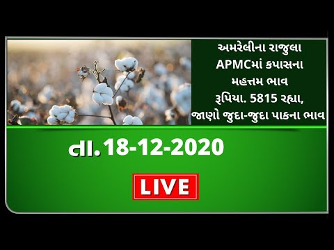 ગુજરાતની બધી જ APMCના તા.18-12-2020 દરેક પાકના ભાવ । TV9 NEWS