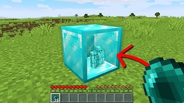 Minecraft, But You Can Go Inside Any Block...