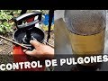 Como hacer Insecticida natural de ceniza (control de pulgones)AGRICULTURA ORGÁNICA