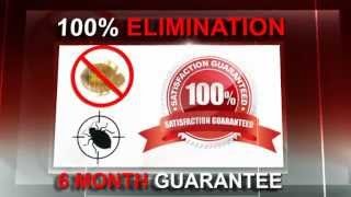 Bed Bugs and Beyond