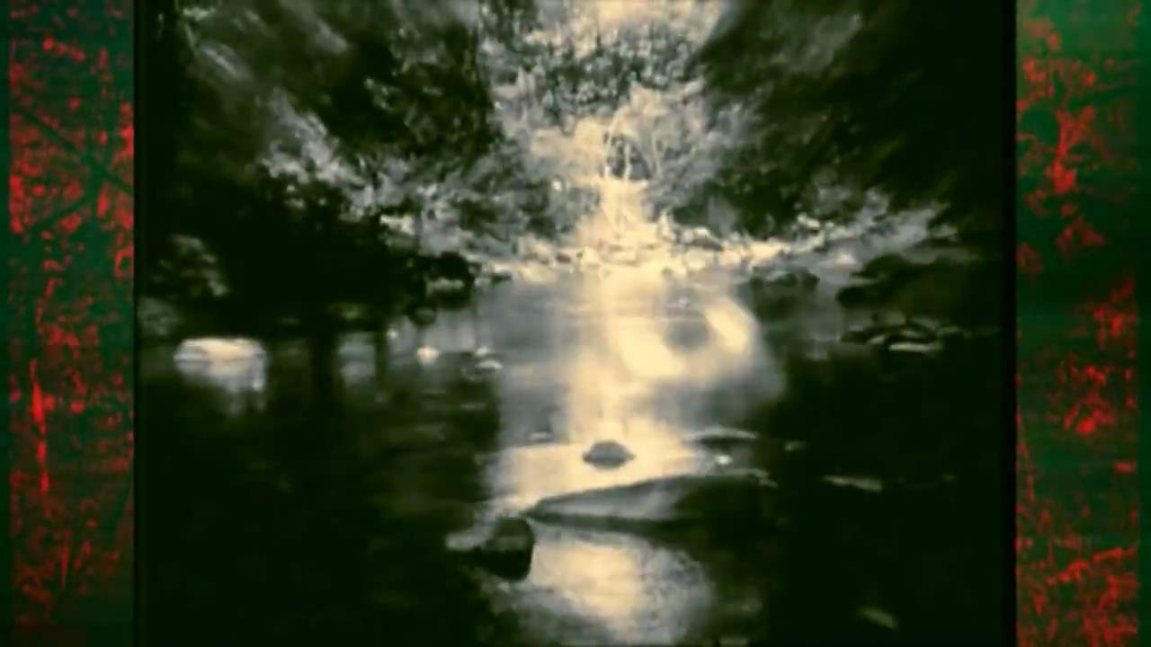 bjork nattura bjork nattura