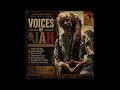 Voices Of Jah Roots Reggae Dub Conscious Messages Spiritual Vibration 