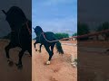 دير الخير في البهيمه تعقل عليه ديريه في البشر يقلب غير فين يحفر لك علاش انت تكون احسن منه دير الخير في البهيمه تعقل عليه ديريه في البشر يقلب غير فين يحفر لك علاش انت تكون احسن منه