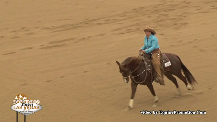 Shesa Smokin Cat ridden by Susan Schwabacher Modic...