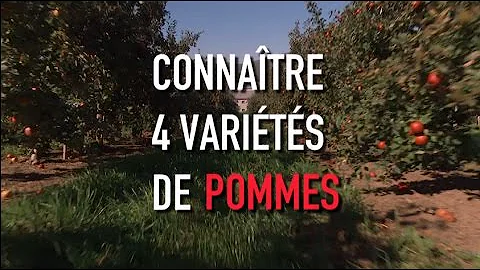 Quelles pommes sont produites en Normandie ?