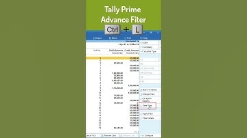 Tally Prime Advance Filter #tally