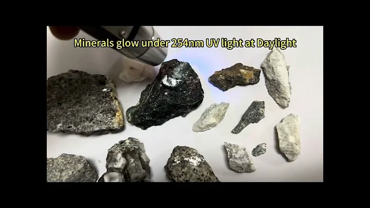 Shortwave 254nm UVC & Longwave 365nm 395nm UVA LED Flashlight, Minerals Phosphor, Note w/ZWB3 Filter