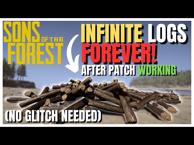 How to SPAWN ITEMS & Get INFINITE LOGS, HEALTH and AMMO in Sons of the  Forest! COMMAND CONSOLE! 