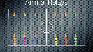 Physical Education Games - Animal Relays screenshot 1