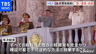 ＩＡＥＡ年次総会 北朝鮮核開発「深い懸念」決議案採択