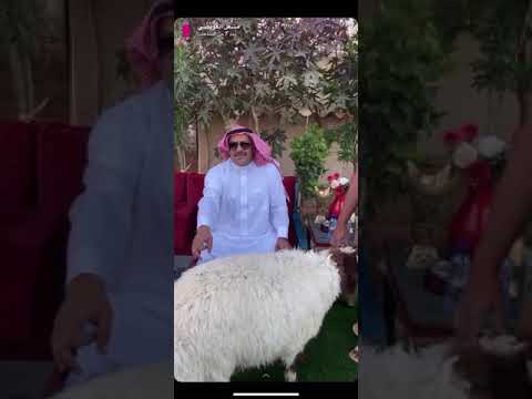 فيديو: كيفية اختيار الخروف الطري