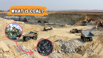 How is coal formed in nature?