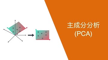 主成分分析 (Principal Component Analysis - PCA)