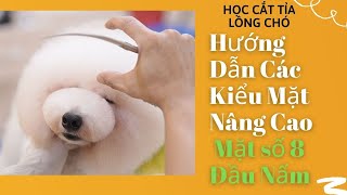 Học Cắt Tỉa Lông Chó | Hướng Dẫn  Kiểu Mặt Số 8 Cho Chó Poodle | Đầu Nấm