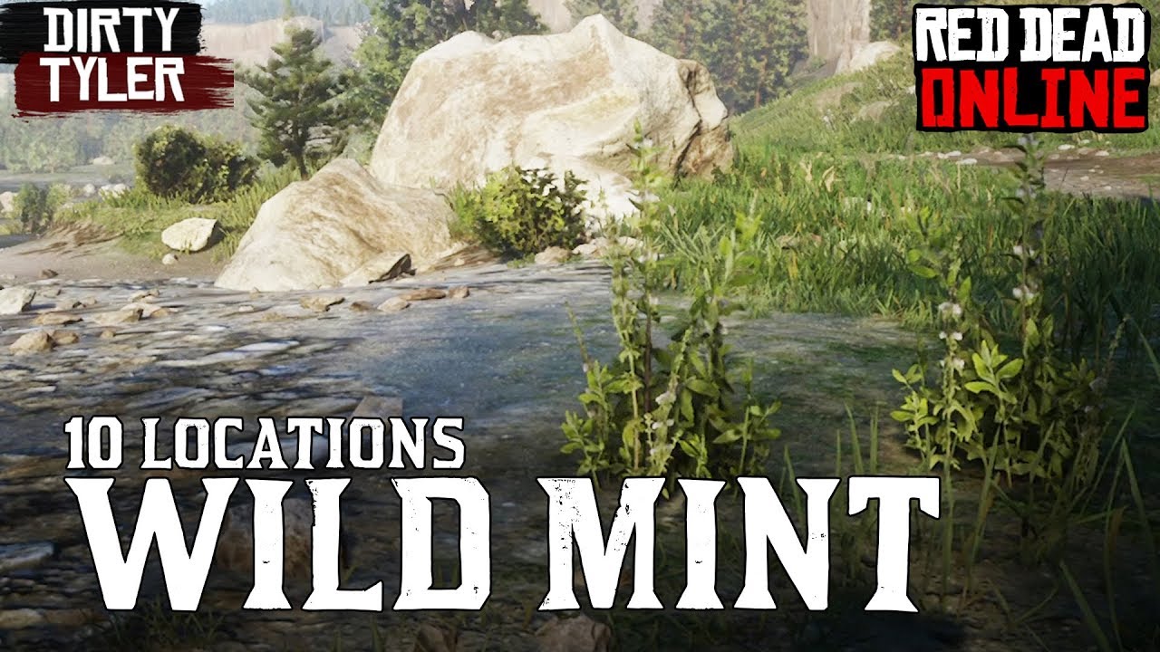 wild mint location rdr2, rdr2 online Wild mint location, Wild mint red de.....