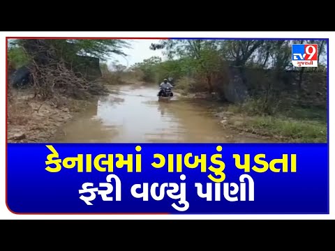 Gir Somnath: Villagers in distress due to knee deep waters on roads of Gir Gadhada | TV9News