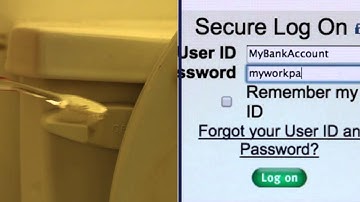 Toothbrushes & Passwords