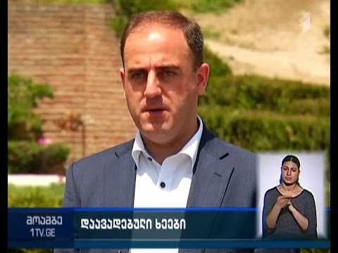 მთაწმინდაზე გამხმარი ხეები ახალი ხე-მცენარეებით ჩანაცვლდება