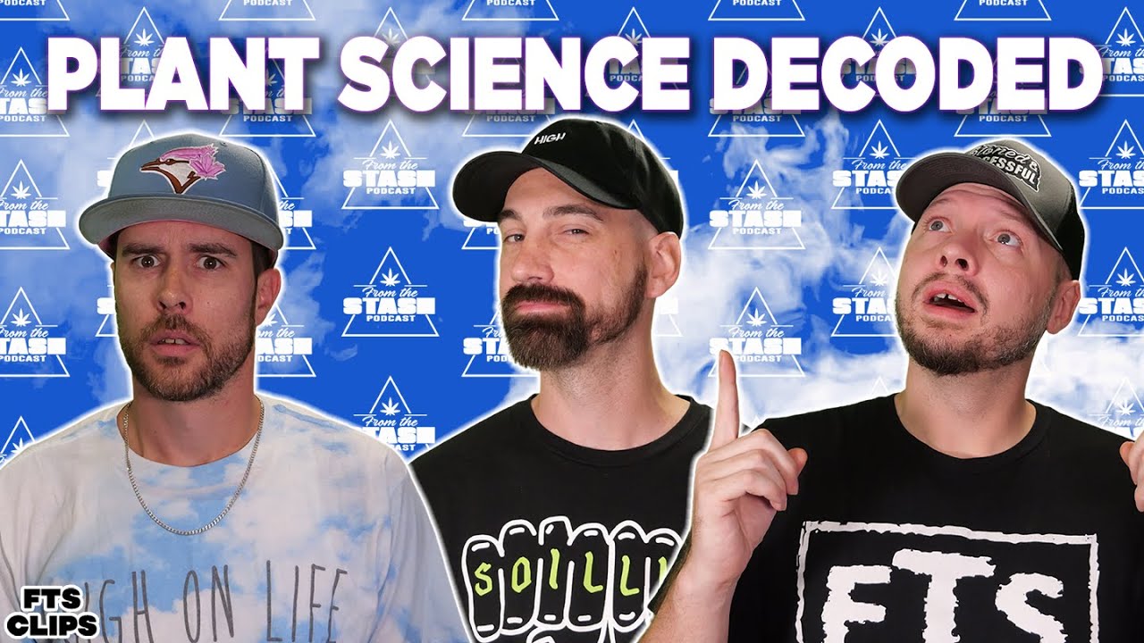 Как наука о растениях способствует улучшению урожайности — FTS Clips