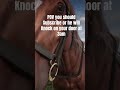 Goofy ahh horse #reddeadredemption2 #shorts
