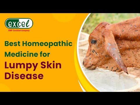 Lumpy Skin Disease