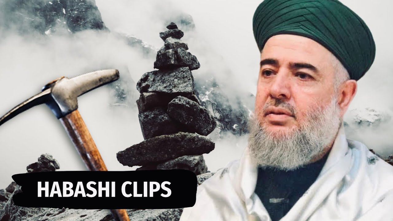 [ Jameel ] You are destroying the religion with a pickaxe when you ...