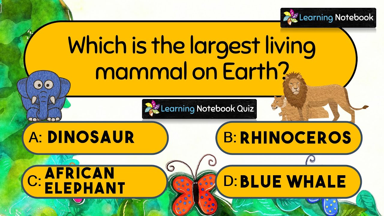 Animals Quiz, Quiz on animals, GK quiz Part 1 YouTube