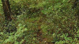 [ Nami Food ]exels-kelly-lacy