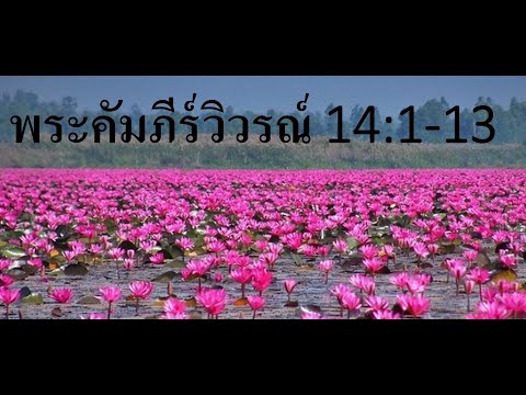 วีดีโอ: ใครคือบาบิโลนในพระคัมภีร์?