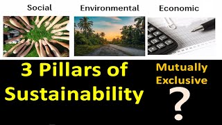 3 Pillars of Sustainability || Mutually exclusive and inter-dependent on each other?