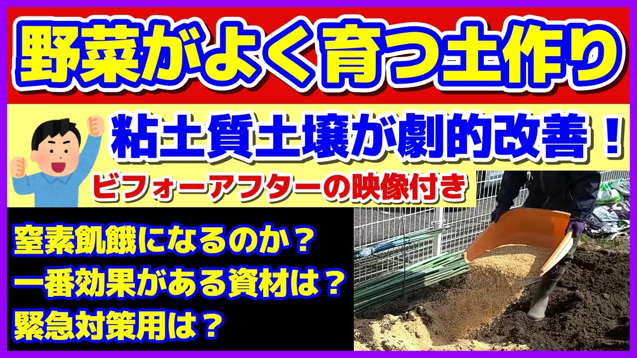 こうやったら粘土質土壌が劇的に改善した！】野菜がよく育つ家庭菜園の 