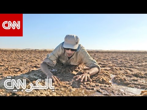 سطحها قد يخونك كيف تخرج من رمال متحركة إذا علقت فيها