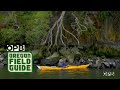 Paddle into The Heart Of the Columbia River