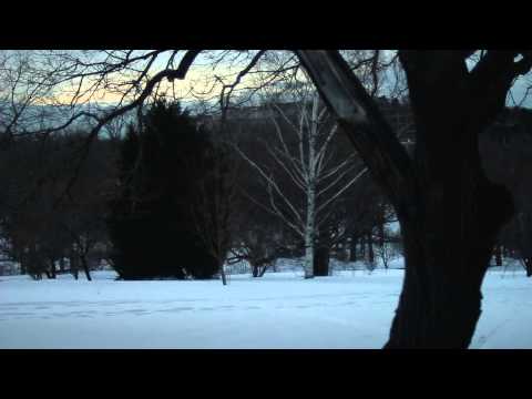 Watch Somos - Domestic (Official Video) on YouTube