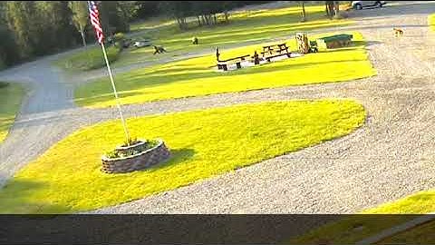 Wildlife Day July 5, 2021   HD 1080p