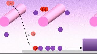 Explained: Chemical Vapor Deposition (CVD)