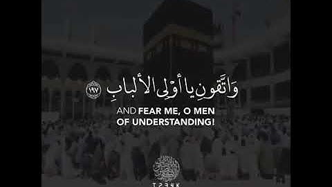 الحج أشهر معلومات " عبد الرحمن مسعد" تلاوه رائعه 👌🏻👌🏻🥺