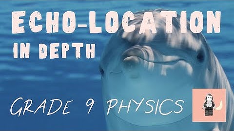 Get Full Marks on the Hardest Echo Location - in Depth GCSE Physics waves