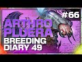 Day 49 Arthropleura Breeding (ARK) | From 184 → 186 Damage